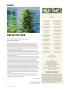 Page: - 12 | High Times