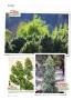 Page: - 124 | High Times