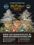 Page: - 41 | High Times