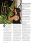 Page: - 46 | High Times