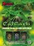 Page: - 83 | High Times