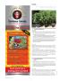 Page: - 110 | High Times