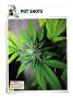 Page: - 122 | High Times