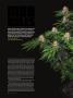 Page: - 64 | High Times