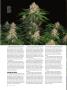 Page: - 66 | High Times