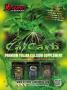 Page: - 83 | High Times