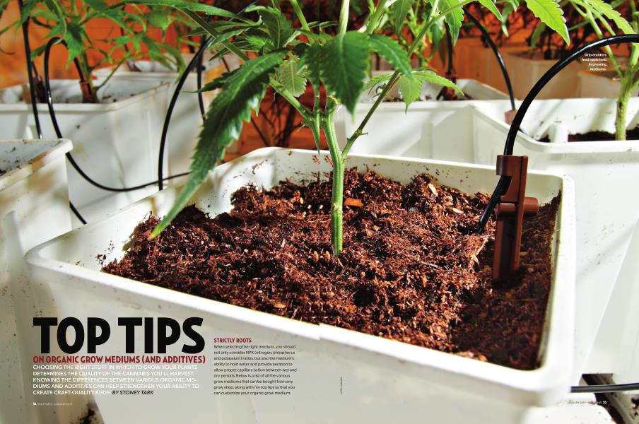 TOP TIPS ON ORGANIC GROW MEDIUMS (AND ADDITIVES)