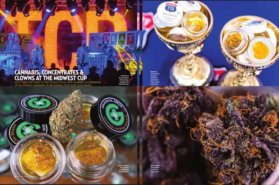CANNABIS, CONCENTRATES & CLOWNS AT THE MIDWEST CUP