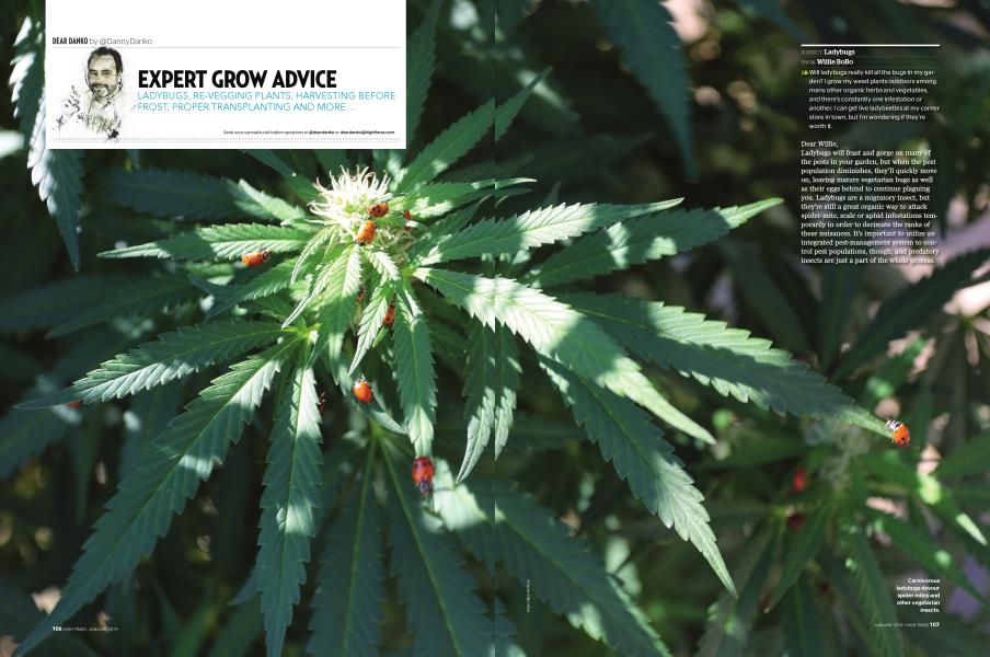 EXPERT GROW ADVICE
