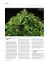 Page: - 108 | High Times