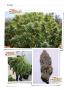 Page: - 124 | High Times