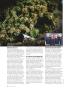Page: - 46 | High Times
