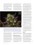 Page: - 58 | High Times