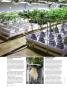 Page: - 64 | High Times