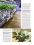 Page: - 65 | High Times