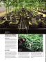 Page: - 66 | High Times
