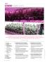 Page: - 8 | High Times