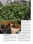 Page: - 82 | High Times