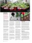 Page: - 84 | High Times