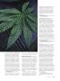 Page: - 89 | High Times
