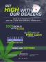 Page: - 91 | High Times