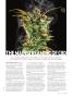 Page: - 99 | High Times