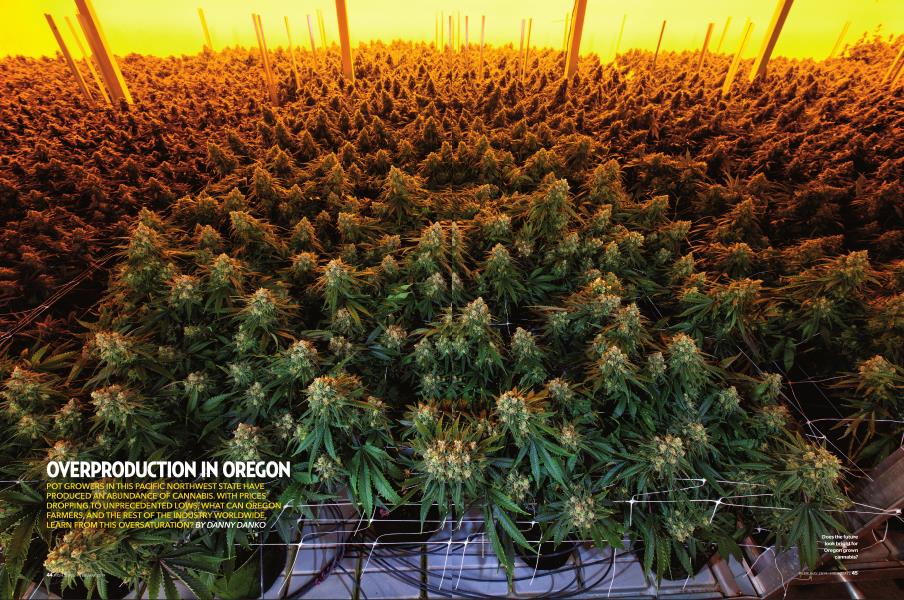 OVERPRODUCTION IN OREGON
