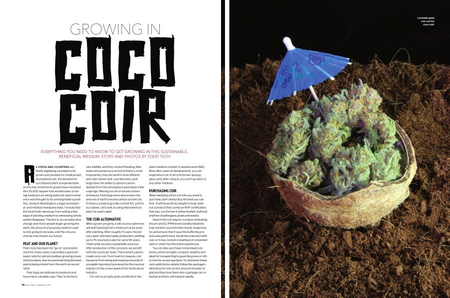 GROWING IN COCO COIR