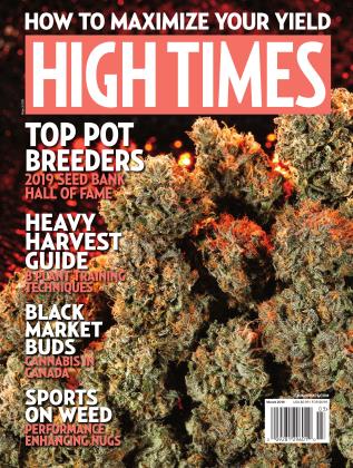 March 2019 | High Times