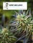 Page: - 106 | High Times