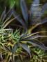 Page: - 107 | High Times