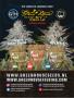 Page: - 120 | High Times