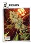 Page: - 122 | High Times