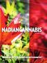 Page: - 45 | High Times