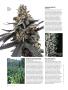 Page: - 72 | High Times