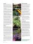 Page: - 80 | High Times