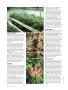 Page: - 82 | High Times