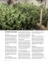 Page: - 84 | High Times