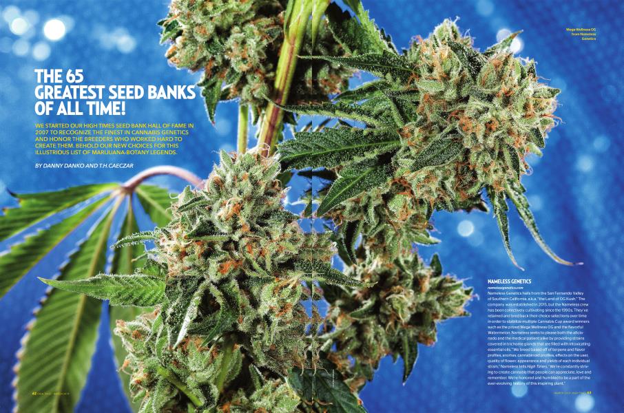 THE 65 GREATEST SEED BANKS OF ALL TIME!