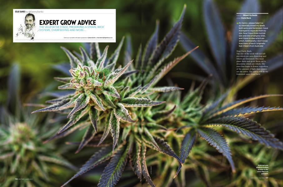 EXPERT GROW ADVICE
