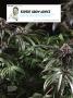 Page: - 106 | High Times
