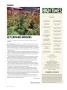 Page: - 12 | High Times