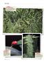 Page: - 124 | High Times