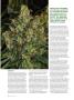 Page: - 44 | High Times