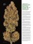 Page: - 46 | High Times