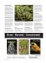 Page: - 74 | High Times