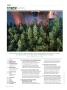 Page: - 8 | High Times