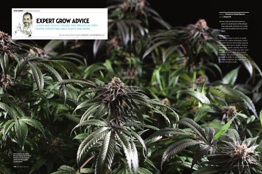 EXPERT GROW ADVICE