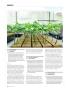 Page: - 108 | High Times