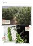 Page: - 124 | High Times